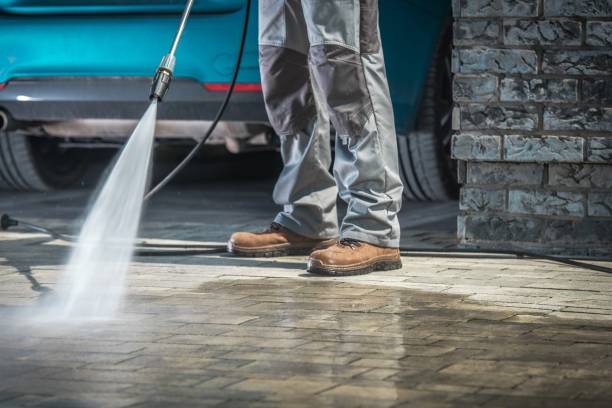 Best Pre-Holiday Cleaning  in Trempealeau, WI