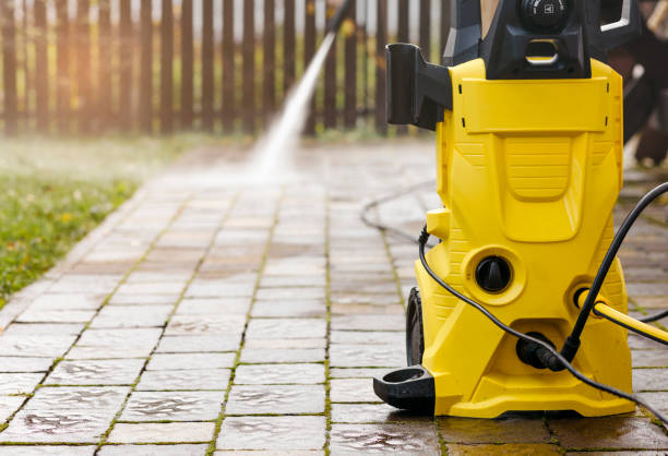Best Driveway Pressure Washing  in Trempealeau, WI